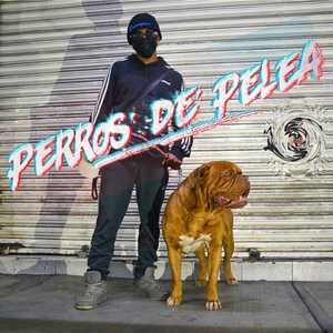 Perros de Pelea