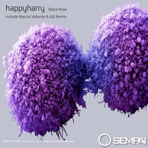 Black Rose (Gilt Remix)