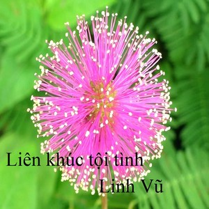 Liên khúc tội tình