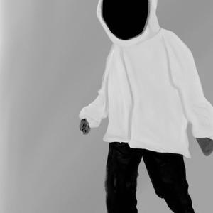 Disguise