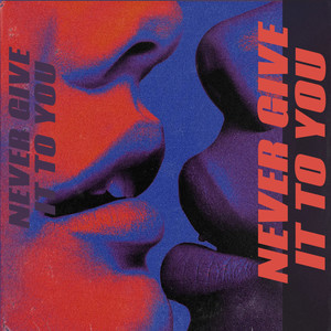 NEVER GIVE IT TO YOU