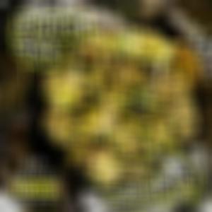 Know The Difference (Explicit)