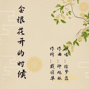金银花开的时候伴奏 (伴奏)
