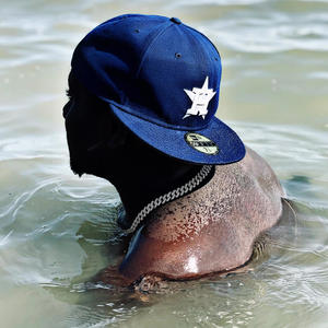 2x (DEAD HEAT) (Explicit)