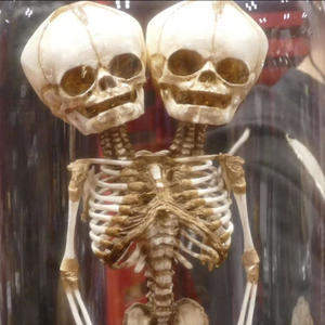 Nothing's Real (feat. Imagine Beatz)