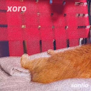 xoro