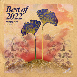 Someone To Love (Extended Mix)