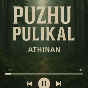 PAKKI PARUNTH (feat. Logeshwara chandrasekhar)
