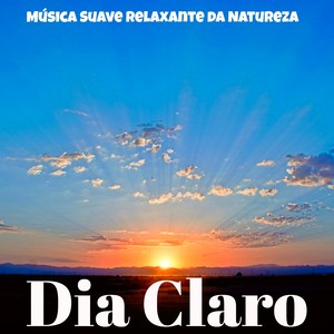 Dia Claro - Música Suave Relaxante da Natureza para Estudar Aprender A Meditar Auto Hipnose com Sons New Age Instrumentais