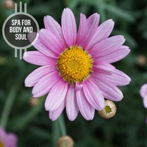 Motivational Piano Therapy