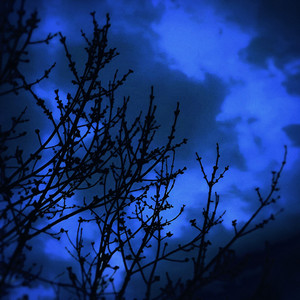 i want to feel you more