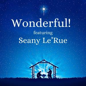 Wonderful! (feat. Seany Le'Rue)