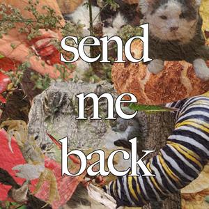 Send Me Back