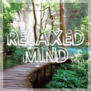 Relaxed Mind, Vol. 1