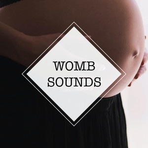 Womb Sounds