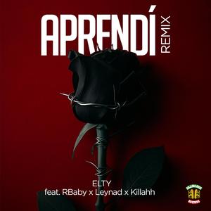 Aprendí (feat. RBaby, Leynad & Killahh) (Remix|Explicit)
