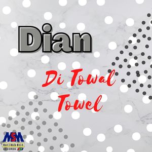 Towal Towel