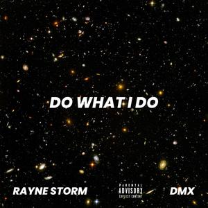 Do What I Do (feat. DMX) (Radio Edit)