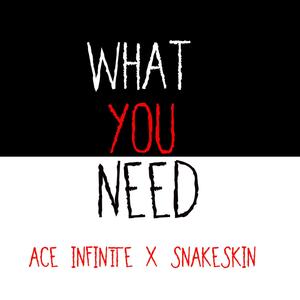 What You Need (feat. snakeskin) [Explicit]