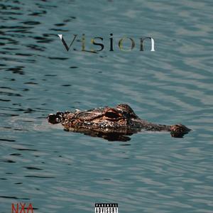 Vision (Explicit)