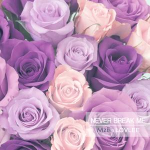 Never Break Me (Extended Mix)