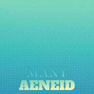 Many Aeneid