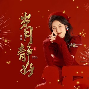 岁月静好封面