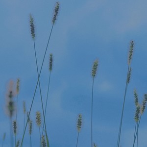 世界上千千万万个我 (Demo)