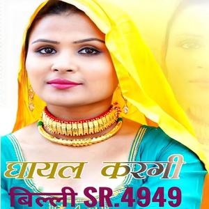 घायल करगी बिल्ली Sr.4949