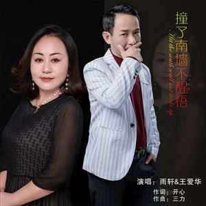 撞了南墙不醒悟 (对唱版)