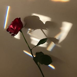 dome of love (met her on the internet remix)
