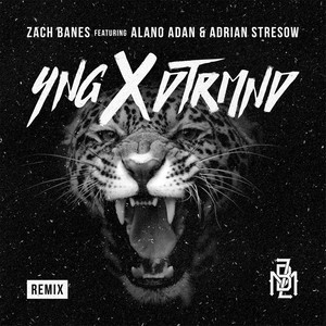 Yng X Dtrmnd (Remix) [feat. Alano Adan & Adrian Stresow]