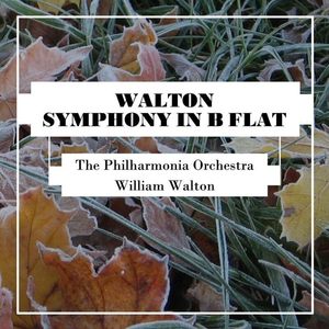 Symphony in B-Flat Minor: III. Andante con malincolia
