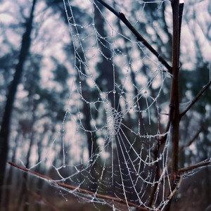 RAGNATELE (Explicit)