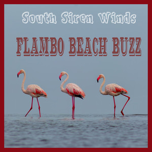 Flambo Beach Buzz