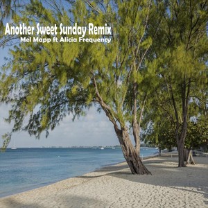 Another Sweet Sunday [feat. Alicia Faulkner] (Remix)