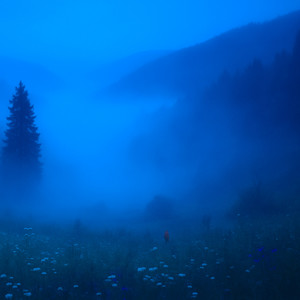 Out There, You Disappear