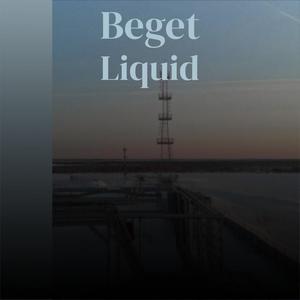 Beget Liquid