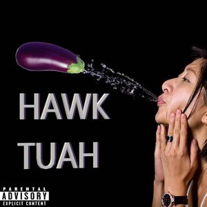 Hawk Tuah! (feat. Fart Fiend) [Explicit]