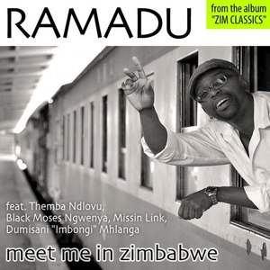 Meet Me in Zimbabwe - Single