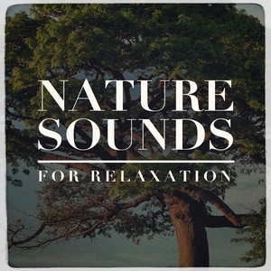 Nature Sounds for Relaxation