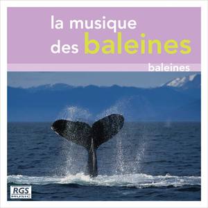 La Musique Des Baleines