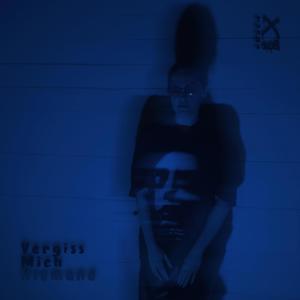 Vergiss Mich Niemand (feat. 108)