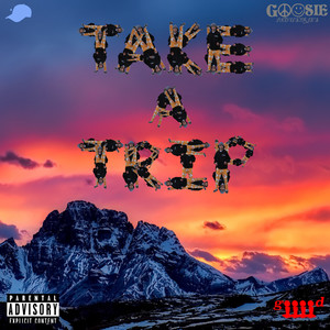 Take a Trip (Explicit)