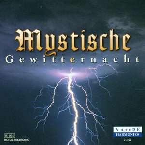 Mystische Gewitternacht - Mystic Thunderstorm night