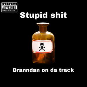 Stupid **** (Explicit)