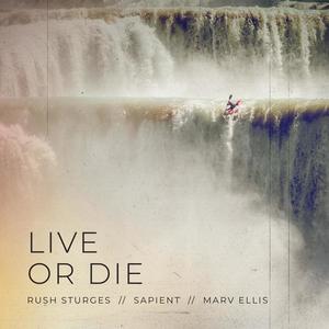 Live or Die (feat. Sapient & Marv Ellis)