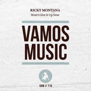 Won't Give It up Now (James Womersley Remix)