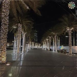 COOL WIT DA ST (Explicit)