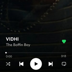 Vidhi Instrumental (Instrumental)